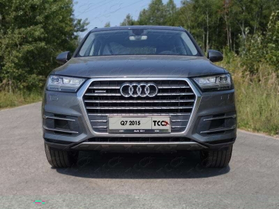 Рамка номерного знака Audi Q5 (комплект) ТСС для Любые
